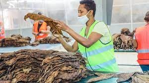 empleos disponibles - Se solicita operario
