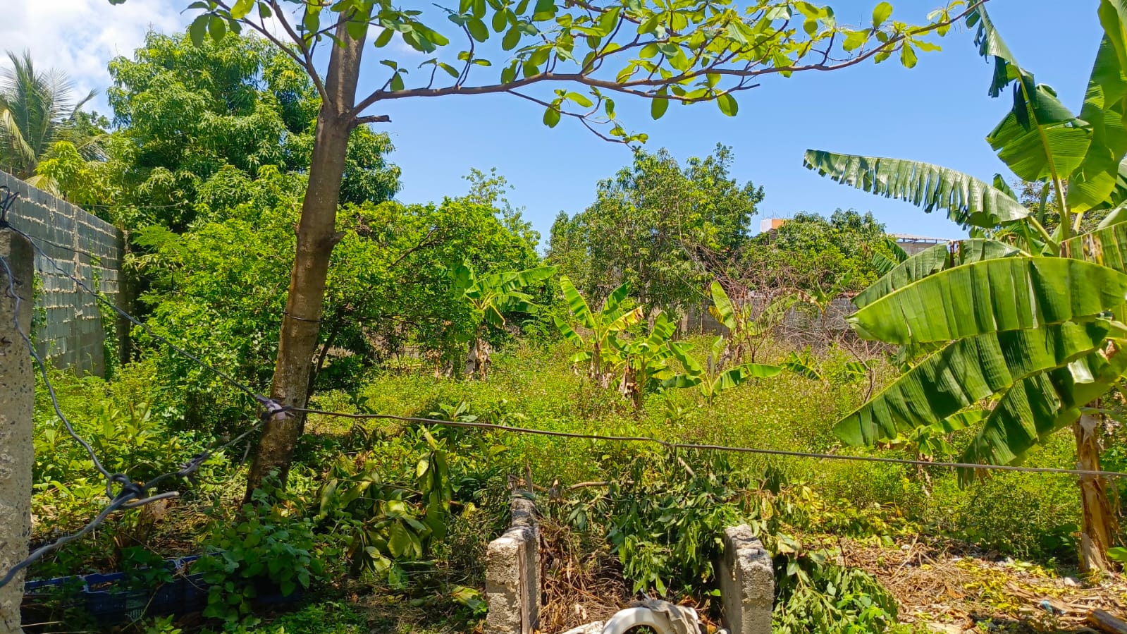 solares y terrenos - 🏞️ Solar en Venta – Valiente, Km 21 Las Américas 