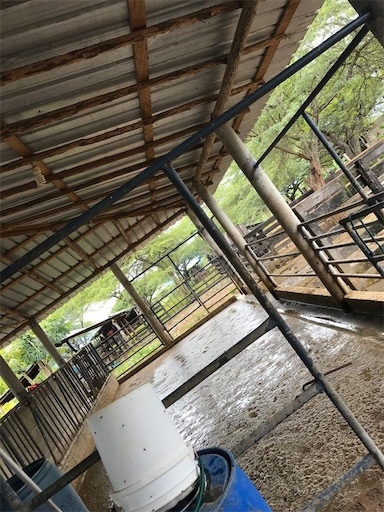 solares y terrenos - Finca de venta en Mamey 2