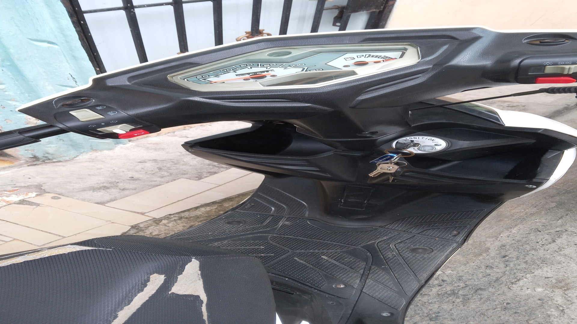motores y pasolas - Super gato AS 150 2024 6