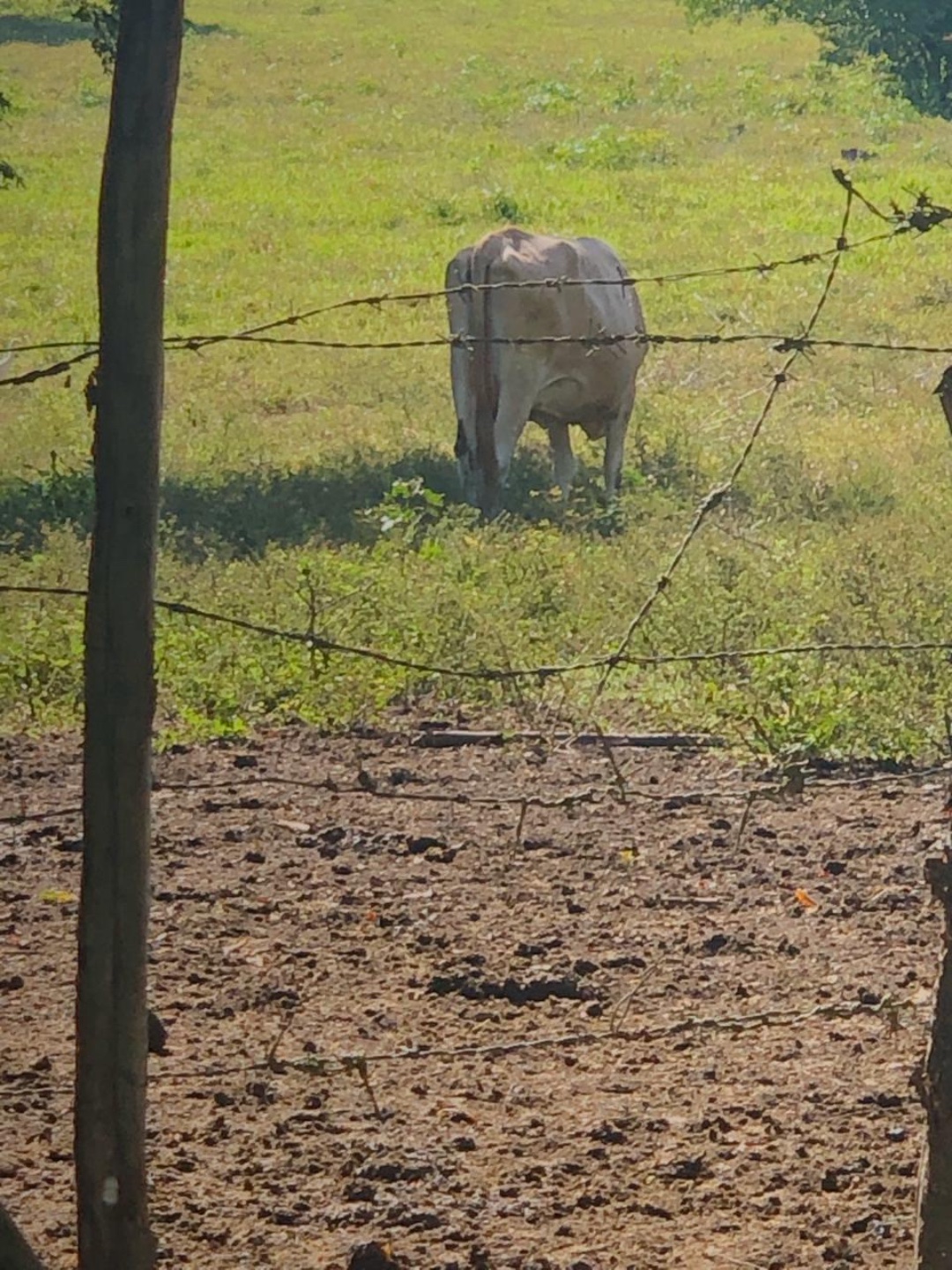 casas vacacionales y villas - Finca en los llanos  4
