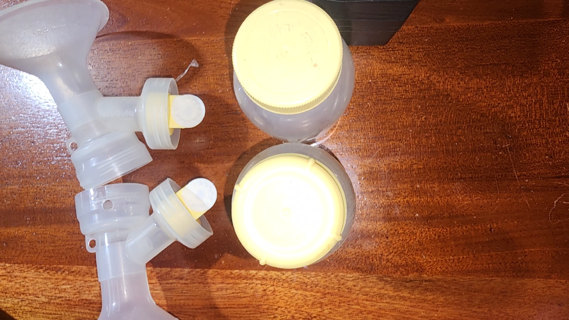 cuidado y nutricion - Estractor de leche medela 0