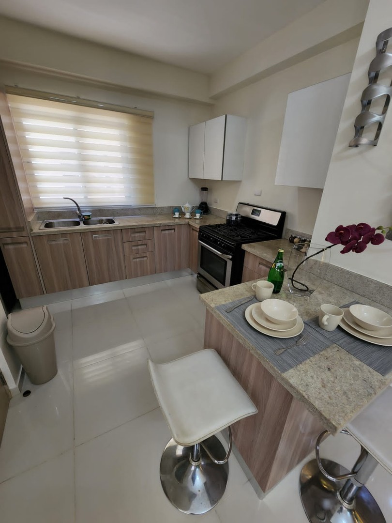 apartamentos - ALQUILER DE APARTAMENTO AMUEBLADO EN PIANTINI  6