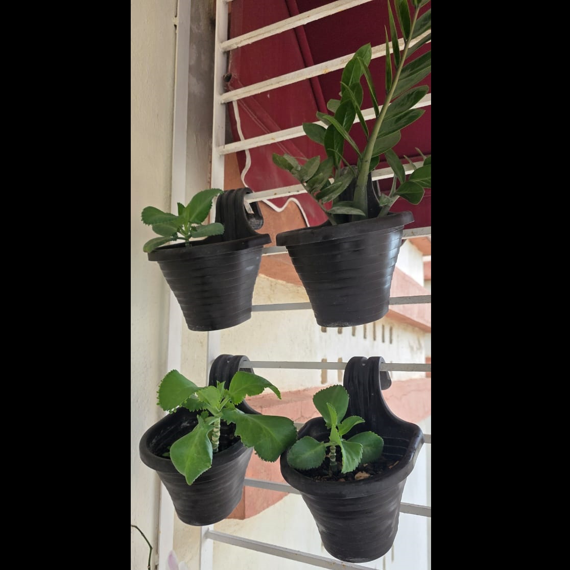 herramientas, jardines y exterior - Macetas para colgar / enganchar (Incluye plantas)
