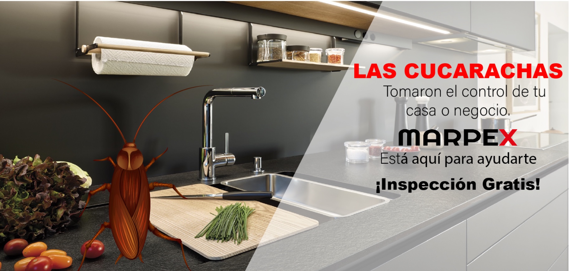 servicios profesionales - Fumigación y Control de plagas 2