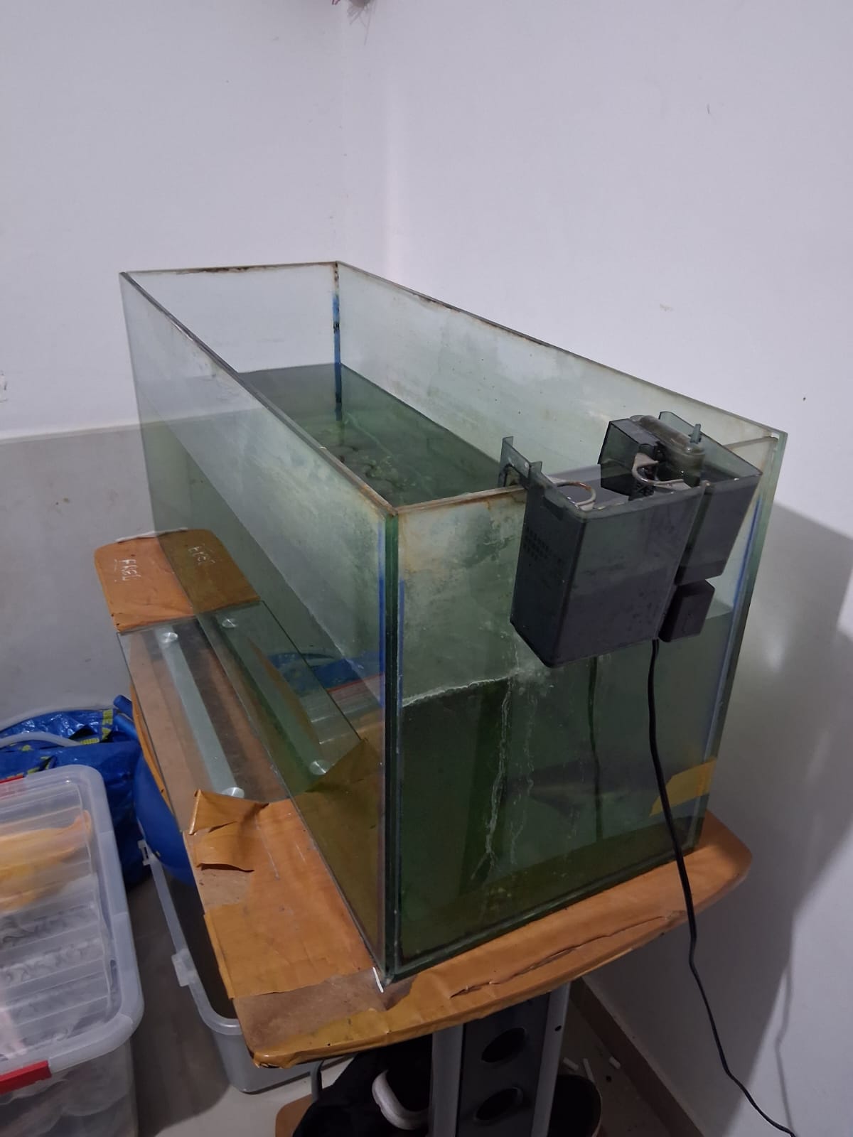 animales y mascotas - VENTA DE PECERA EN MUY BUENAS CONDICIONES 2