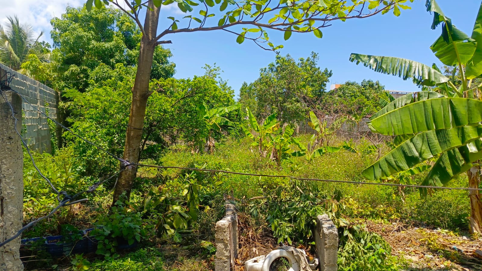 solares y terrenos - 🏞️ Solar en Venta – Valiente, Km 21 Las Américas  1