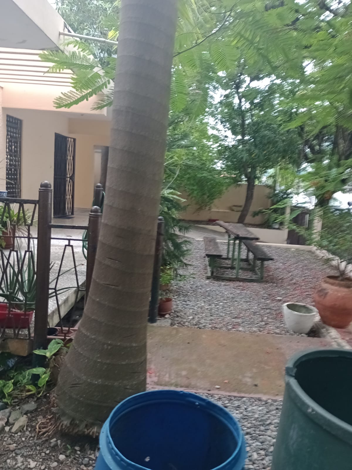 casas - Vendo casa en el millón  3