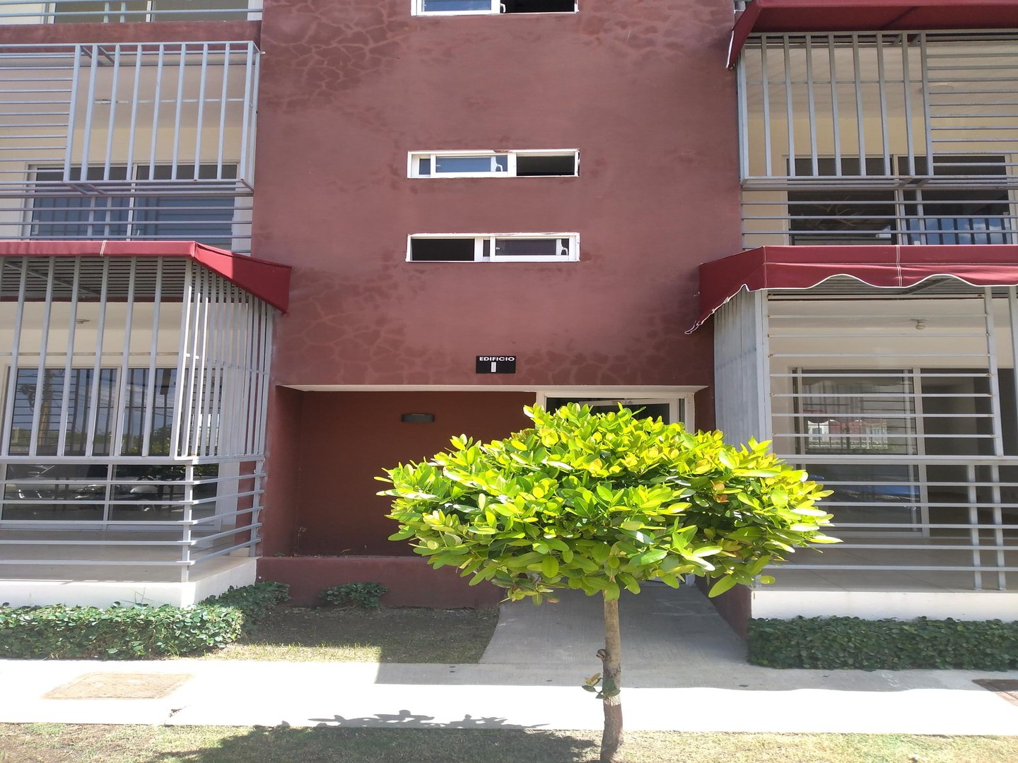 apartamentos - APTAMENTO EN ALQUILER ENTRE AMERICA Y ECOLOGICA 0