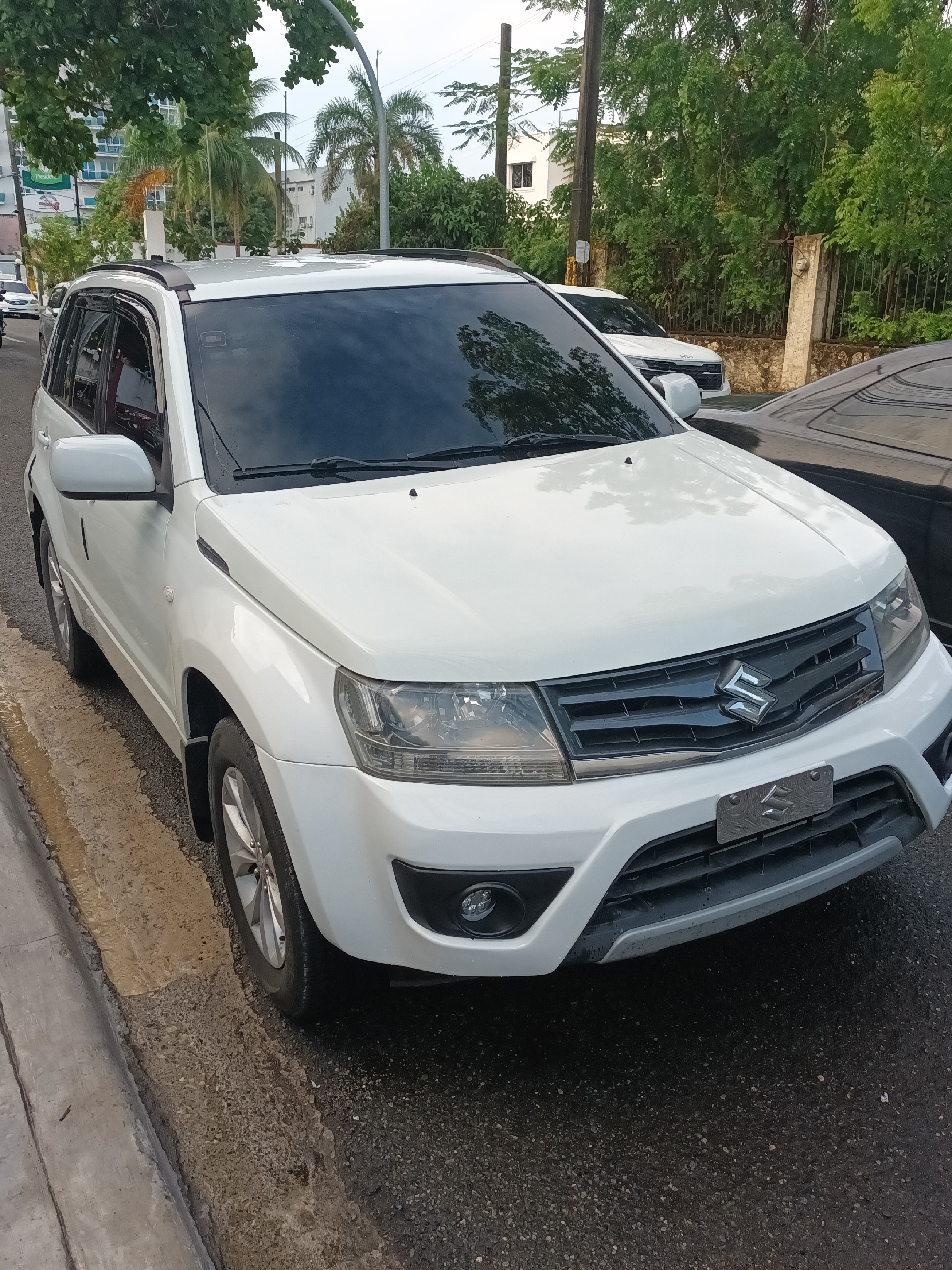 jeepetas y camionetas - vitara 2014 4x4 1