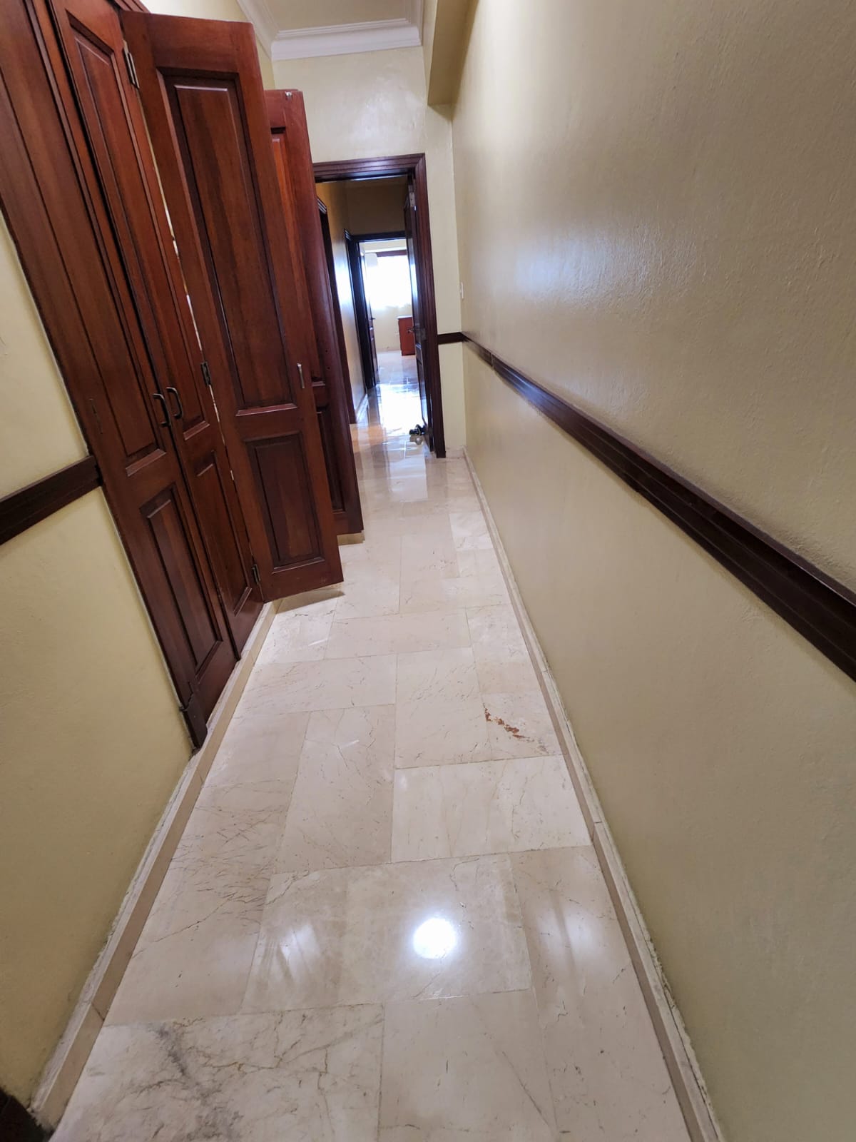 apartamentos - Hermoso apartamento Piantini Alquilo AMUEBLADO  4