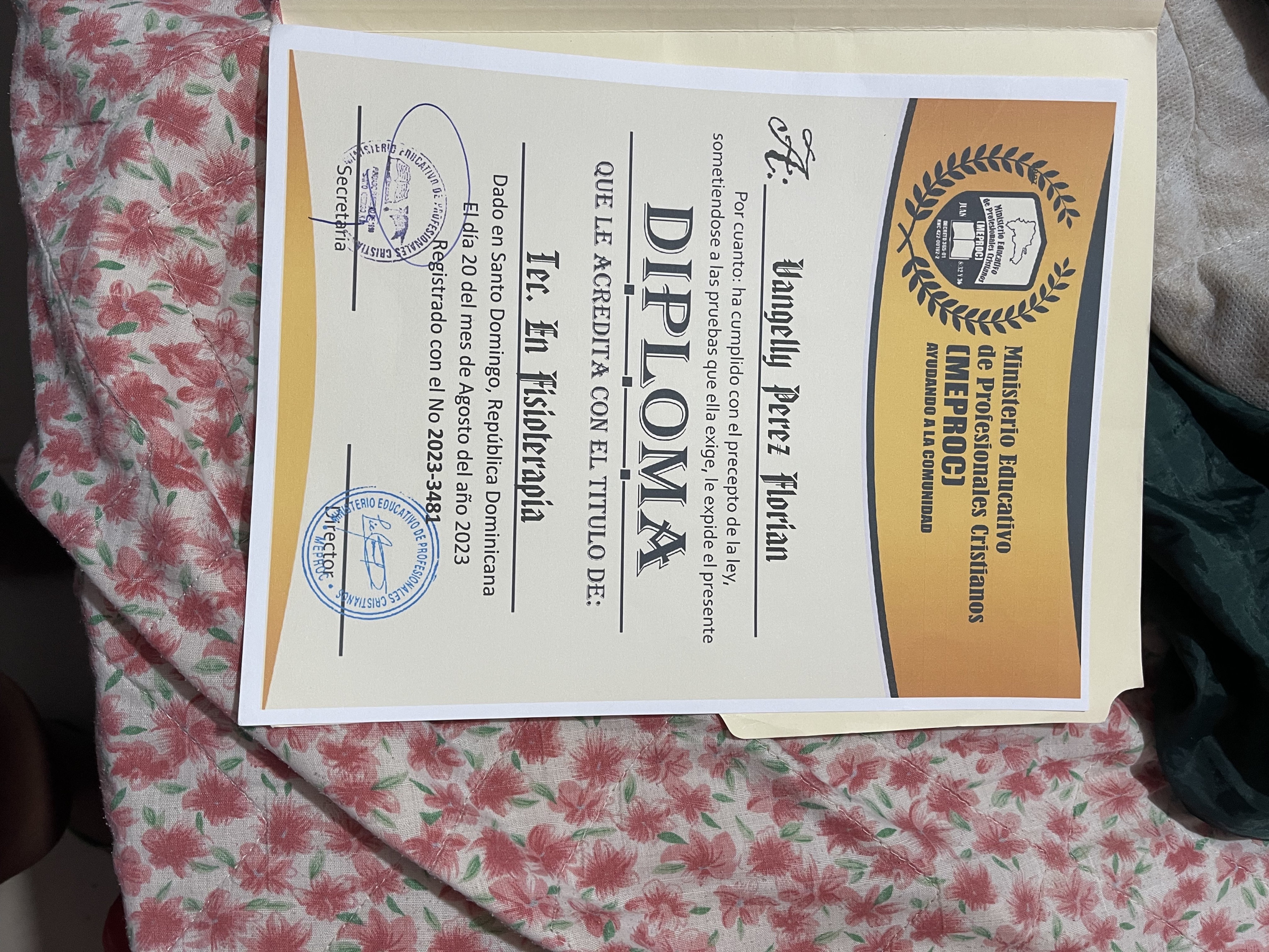 servicios profesionales - masajes y fisioterapia  0