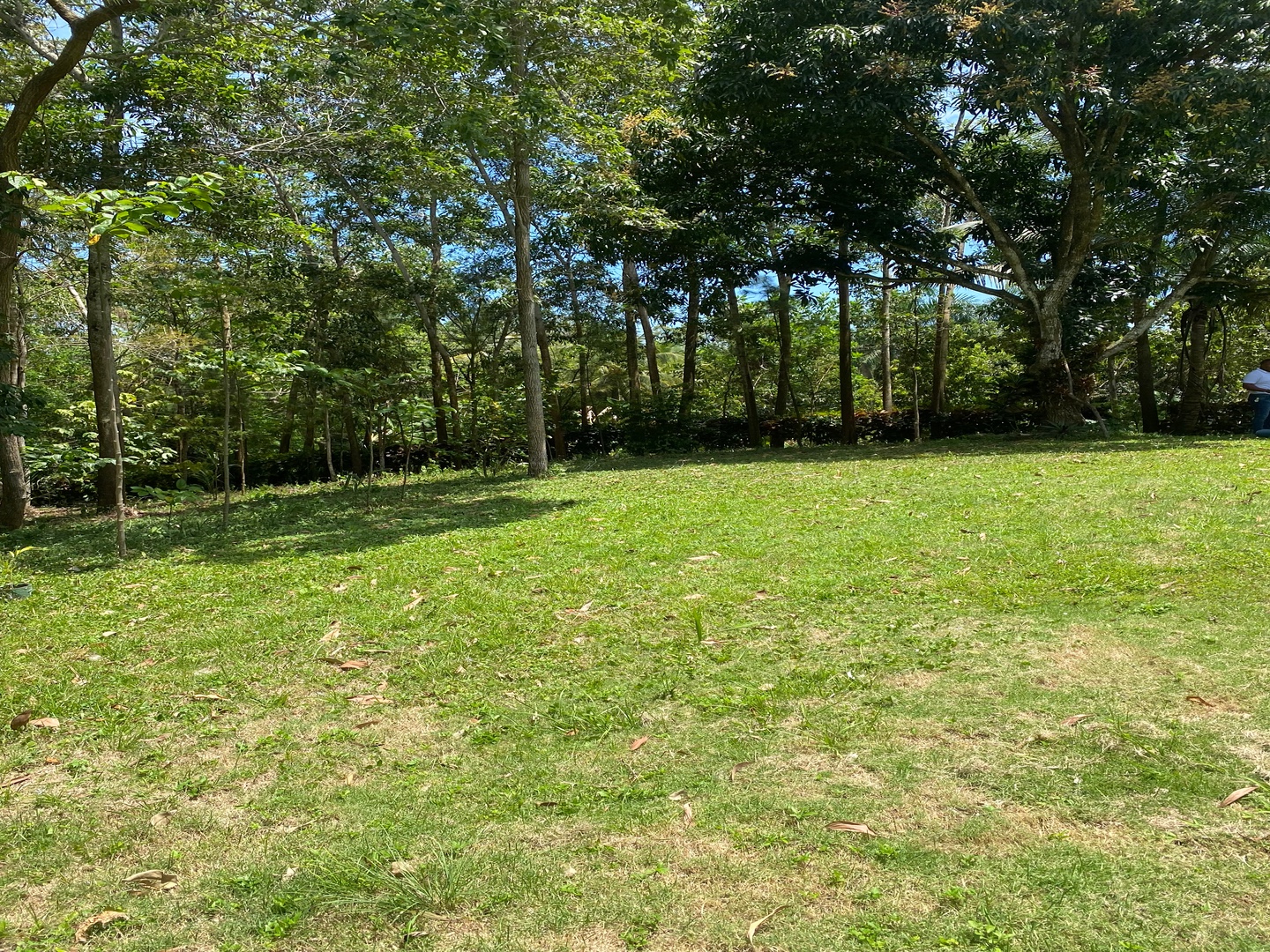 casas vacacionales y villas - Majestuosa finca de 60 tareas de tierra 1600 plantas de aguacate 500 de mango y  5