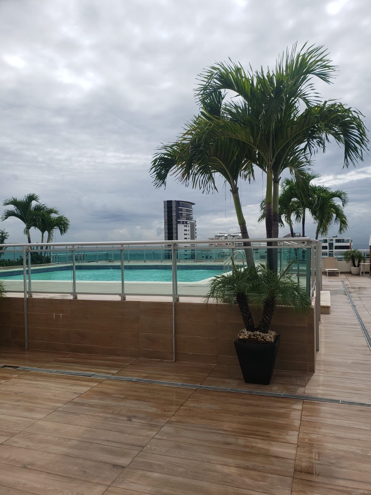 apartamentos - apartamento en Bella vista 2