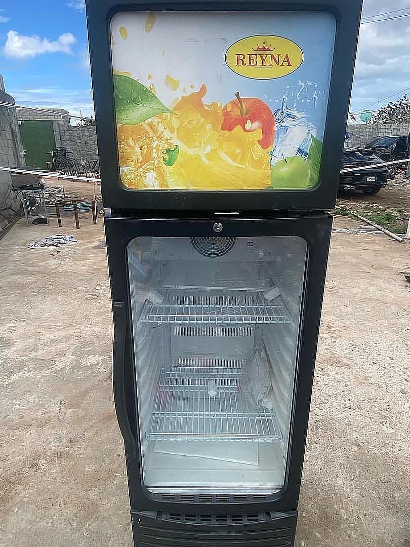 equipos profesionales - exhibidor tipo freezer (Nuevo)  1