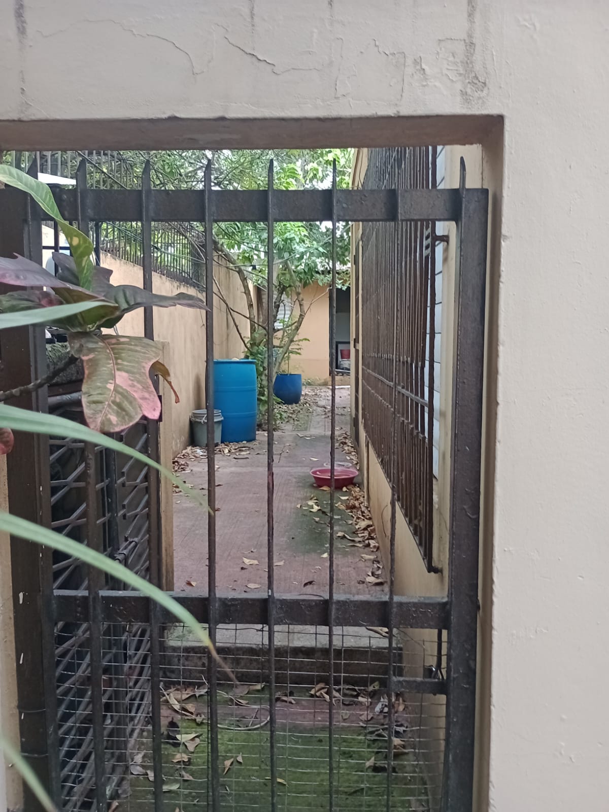 casas - Vendo casa en el millón  5