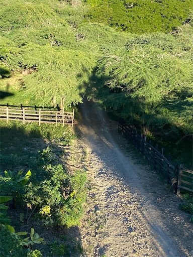 solares y terrenos - Finca de venta en Mamey 5