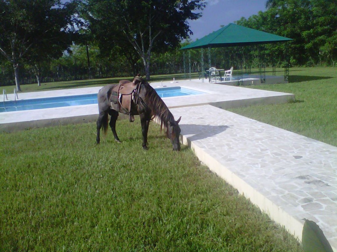 casas vacacionales y villas - Finca en los llanos  7
