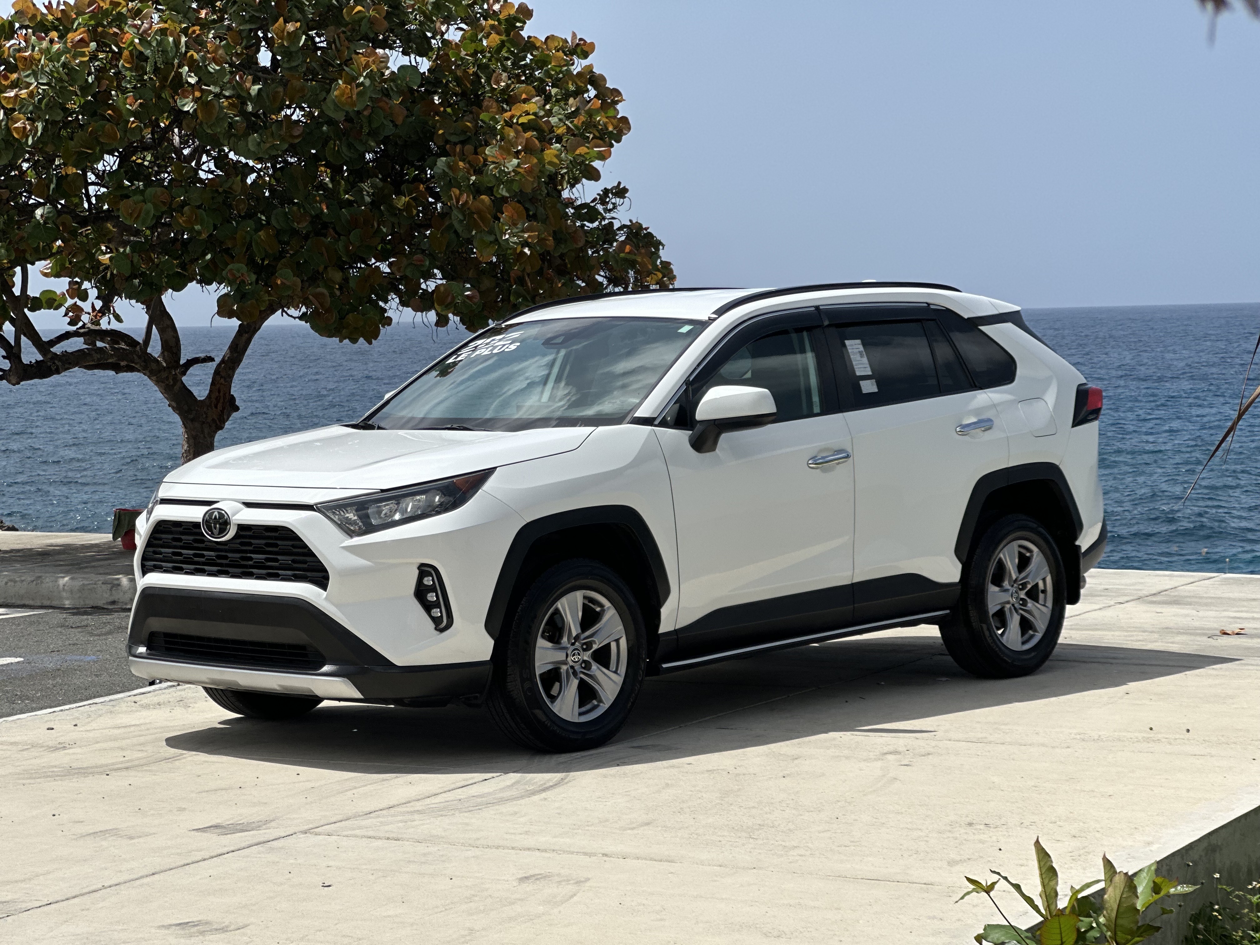 jeepetas y camionetas - TOYOTA RAV4 LE PLUS 2020 SÚPER SANA!RECIÉN IMPORTADA 100% AMERICANA SIN DETALLE! 0
