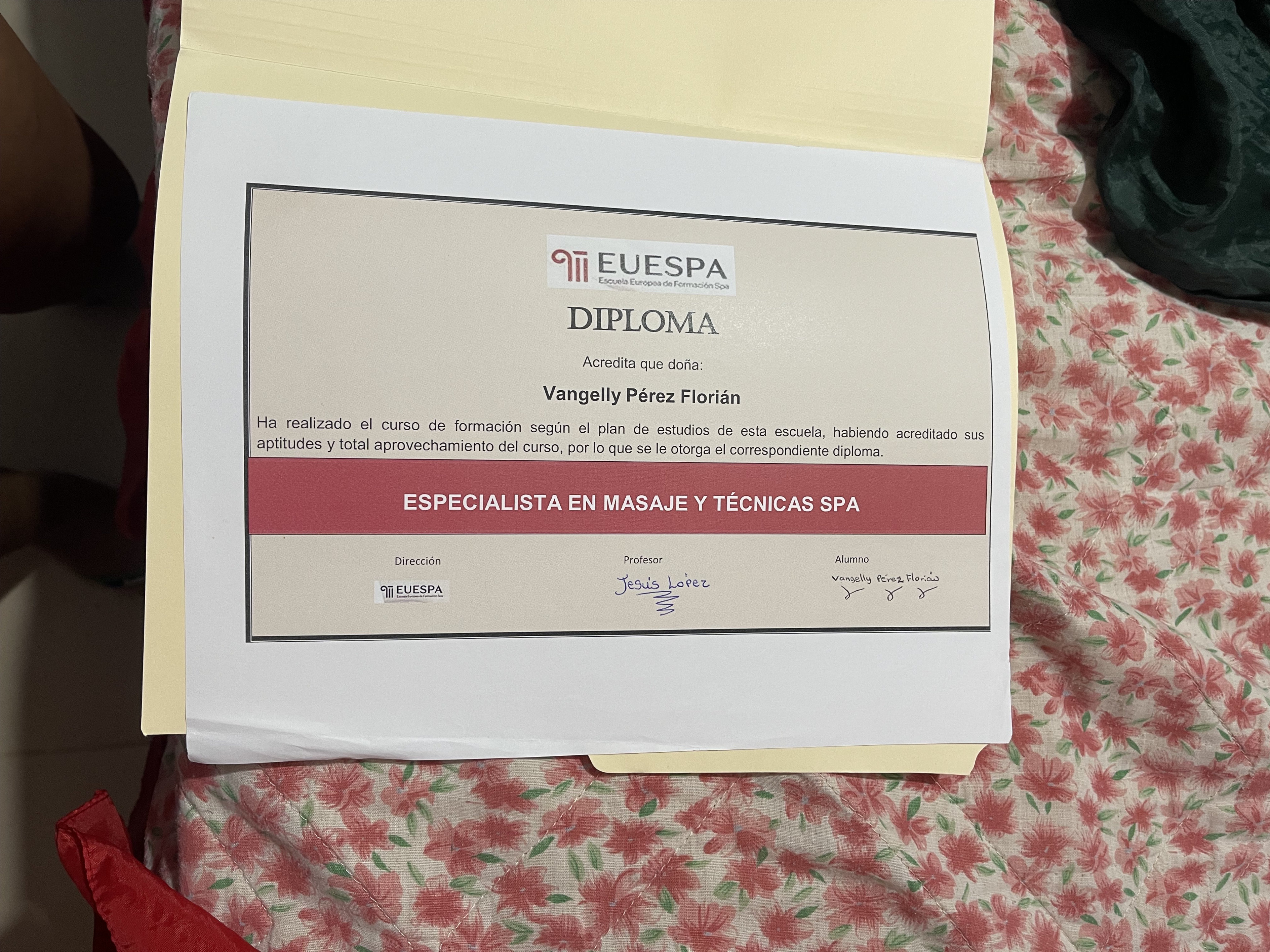 servicios profesionales - masajes y fisioterapia  2