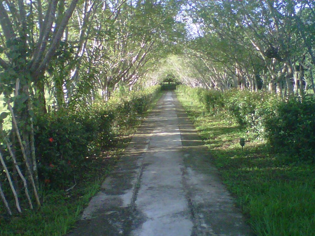 casas vacacionales y villas - Finca en los llanos  8