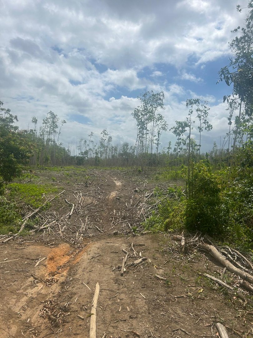 solares y terrenos - !Terreno en Monte Plata!