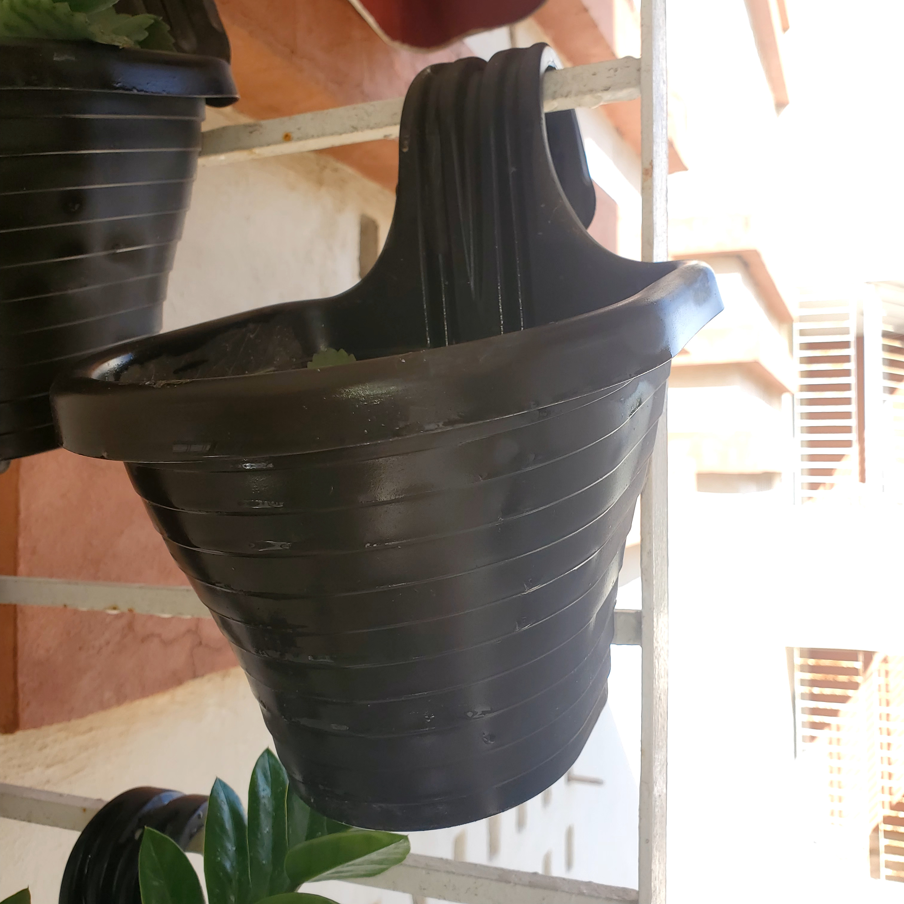 herramientas, jardines y exterior - Macetas para colgar / enganchar (Incluye plantas) 3