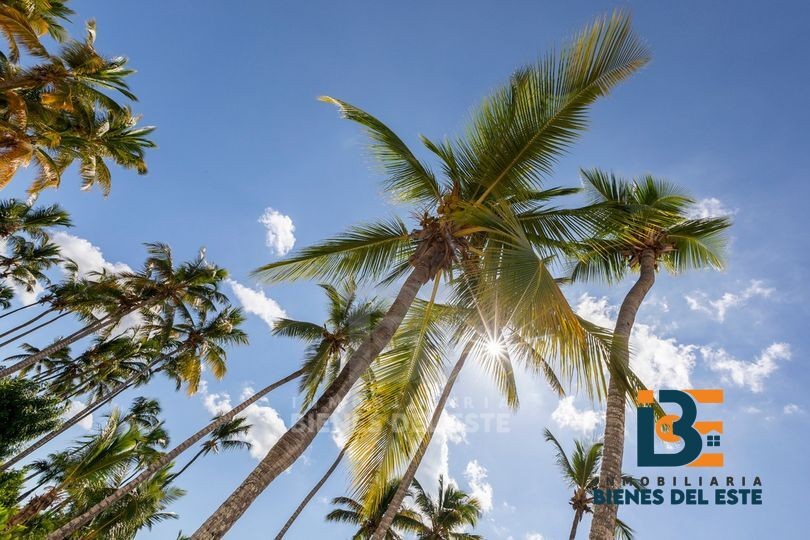 solares y terrenos -  Dos SOLARES en Exclusivo Residencial PLAYA NUEVA Romana de Venta 4
