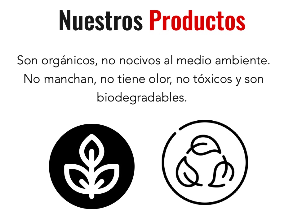 servicios profesionales - Fumigación y Control de plagas 6
