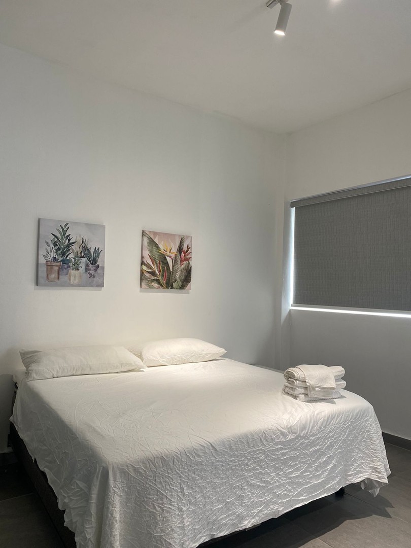 apartamentos - Alquiler Apartamento Amueblado de 1 Habiación con Balcón, Zona Colonial 5