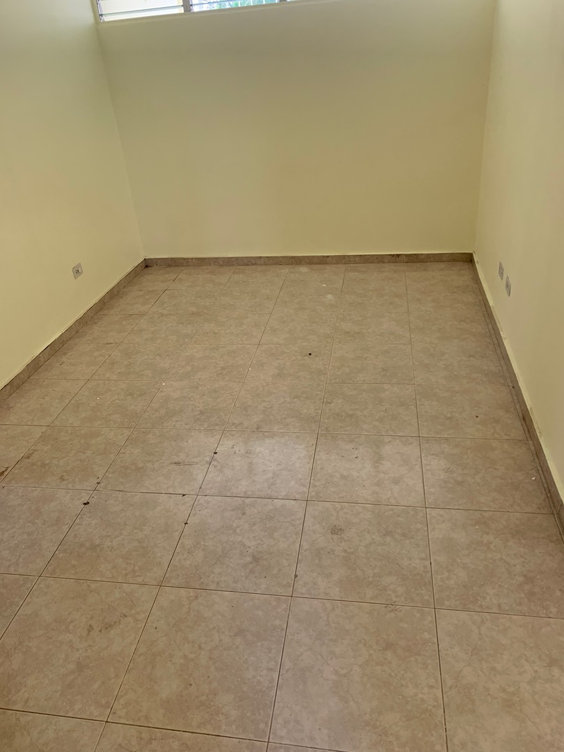 apartamentos - Apartamento, en la Zona Universitaria 1