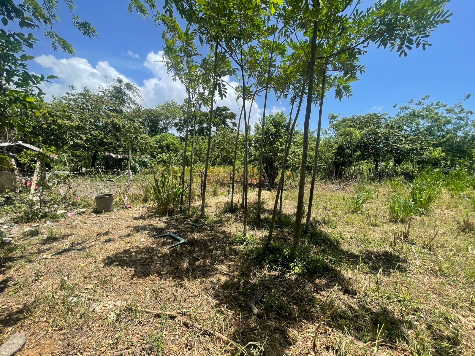 solares y terrenos - 🌳 Terreno en Venta – 1,458.38 m² en Los Boboses,  3