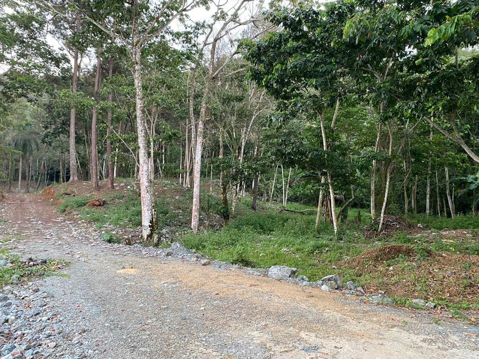 solares y terrenos - Terreno en Mata de Platano Jarabacoa 9