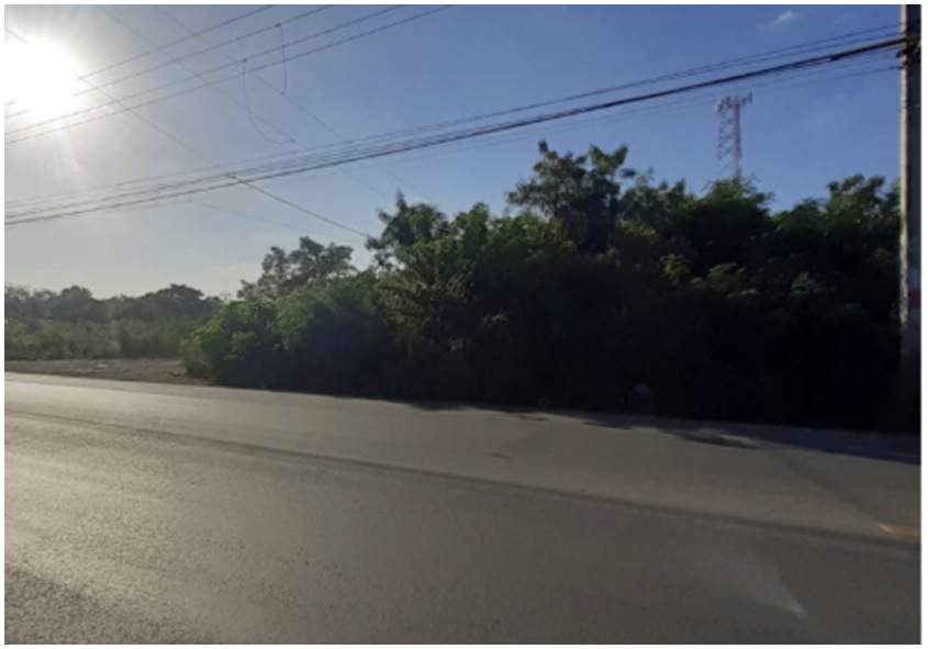 solares y terrenos - SOLAR  3,100 Mts.2 en EL Km. 7,  Carretera  ROMANA – SAN PEDRO DE MACORIS 2