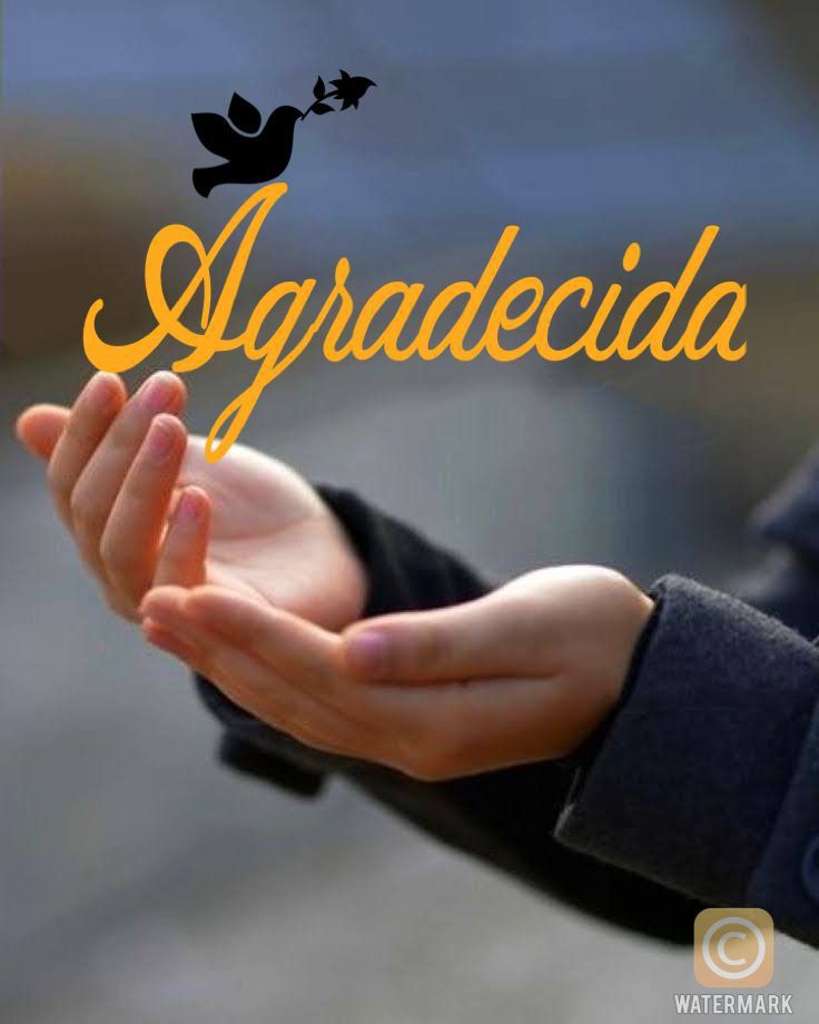 candidatos - Busco empleo sin dormida