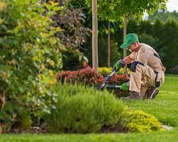 empleos disponibles - Se solicita Jardinero 0
