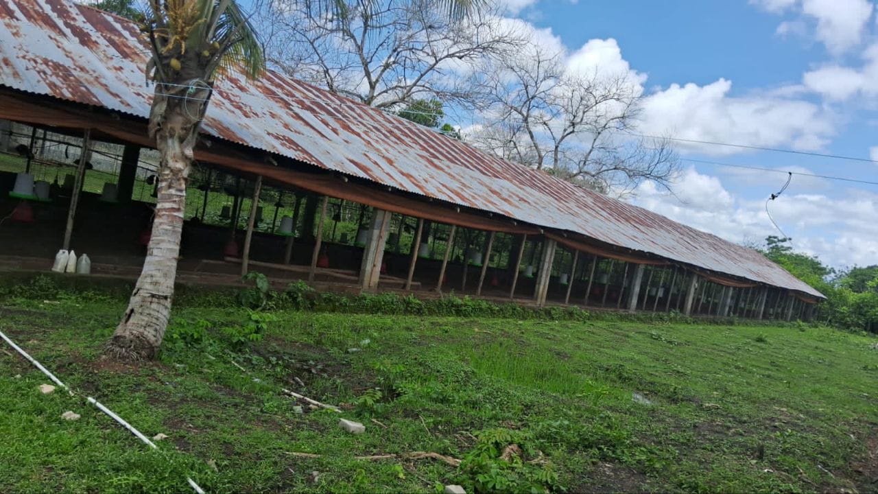solares y terrenos - Finca en Venta en Don Juan de 25 Tareas de Oportunidad 📌 0