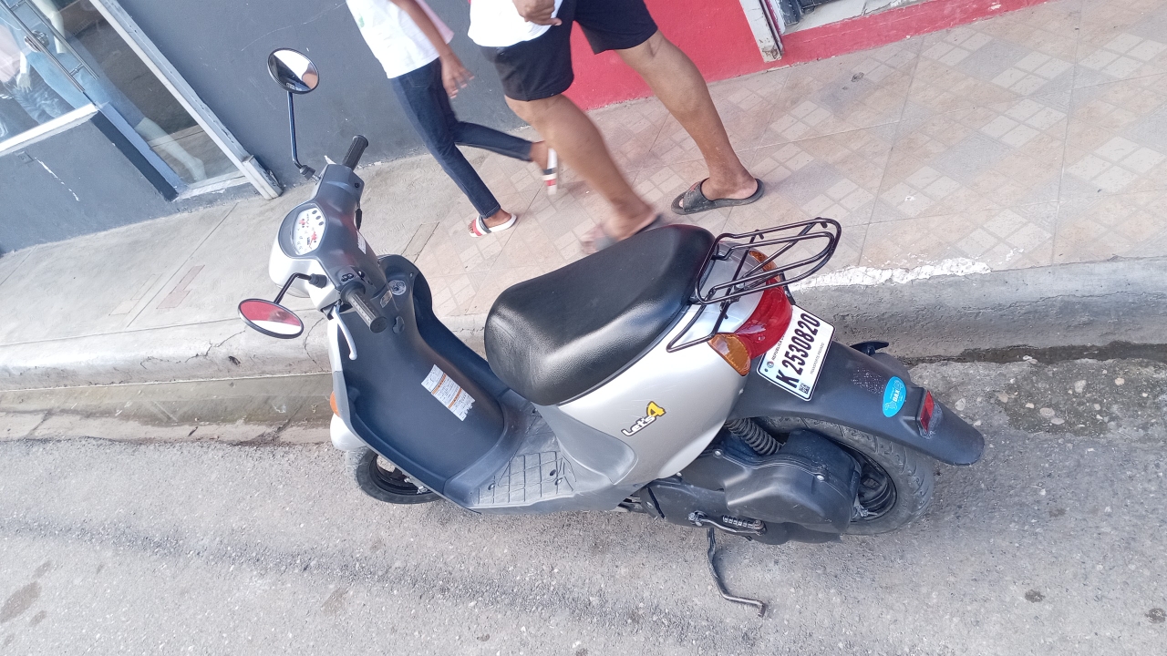 motores y pasolas - Se vende  1