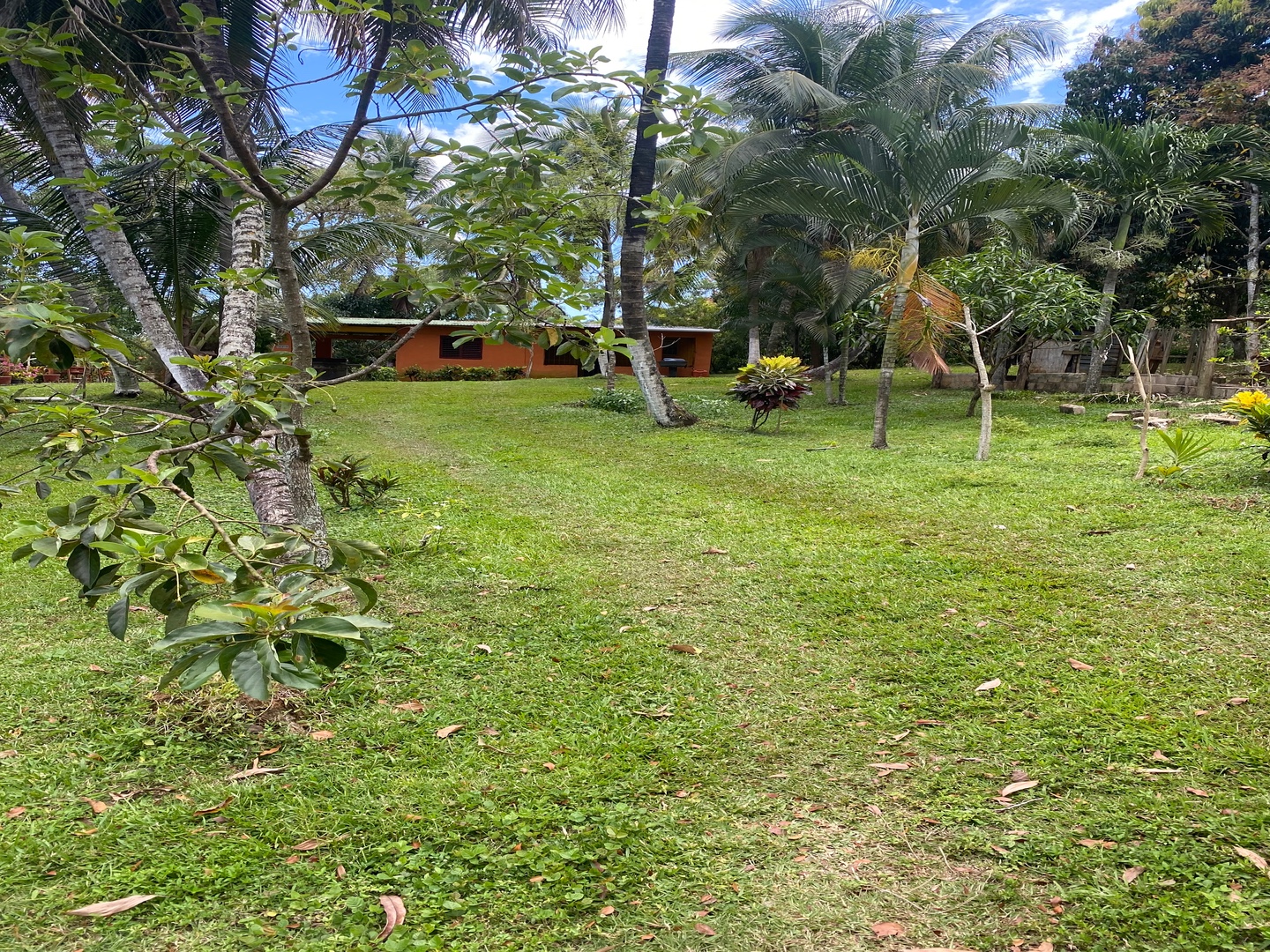 casas vacacionales y villas - Majestuosa finca de 60 tareas de tierra 1600 plantas de aguacate 500 de mango y  8