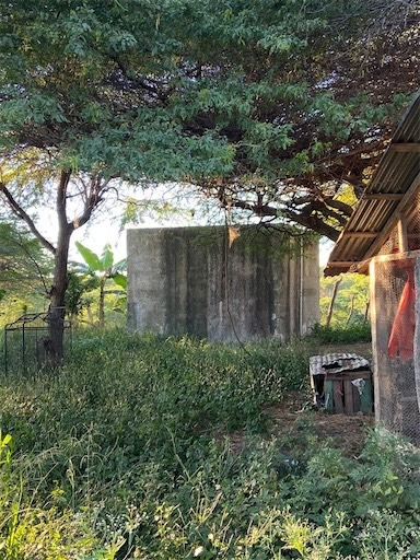 solares y terrenos - Finca de venta en Mamey 8