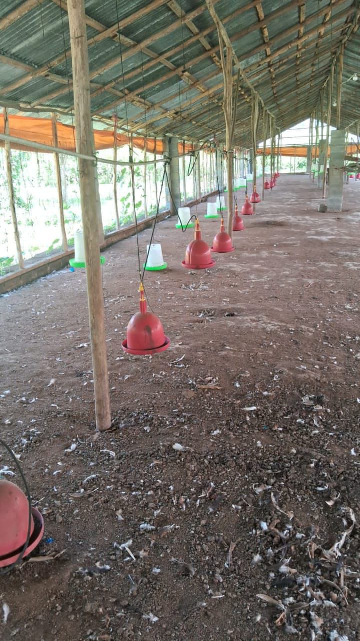 solares y terrenos - Finca en Venta en Don Juan de 25 Tareas de Oportunidad 📌 1