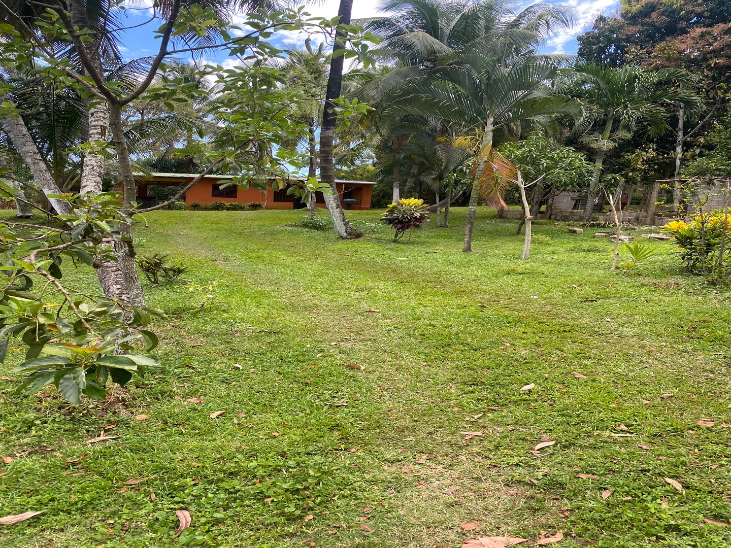 casas vacacionales y villas - Majestuosa finca de 60 tareas de tierra 1600 plantas de aguacate 500 de mango y  9