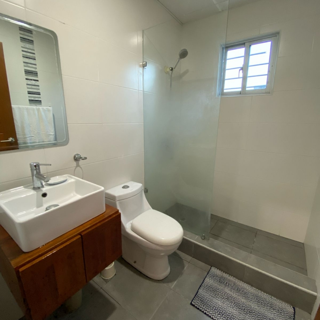 apartamentos - Apartamento Amueblado En Alquiler En Evaristo  4