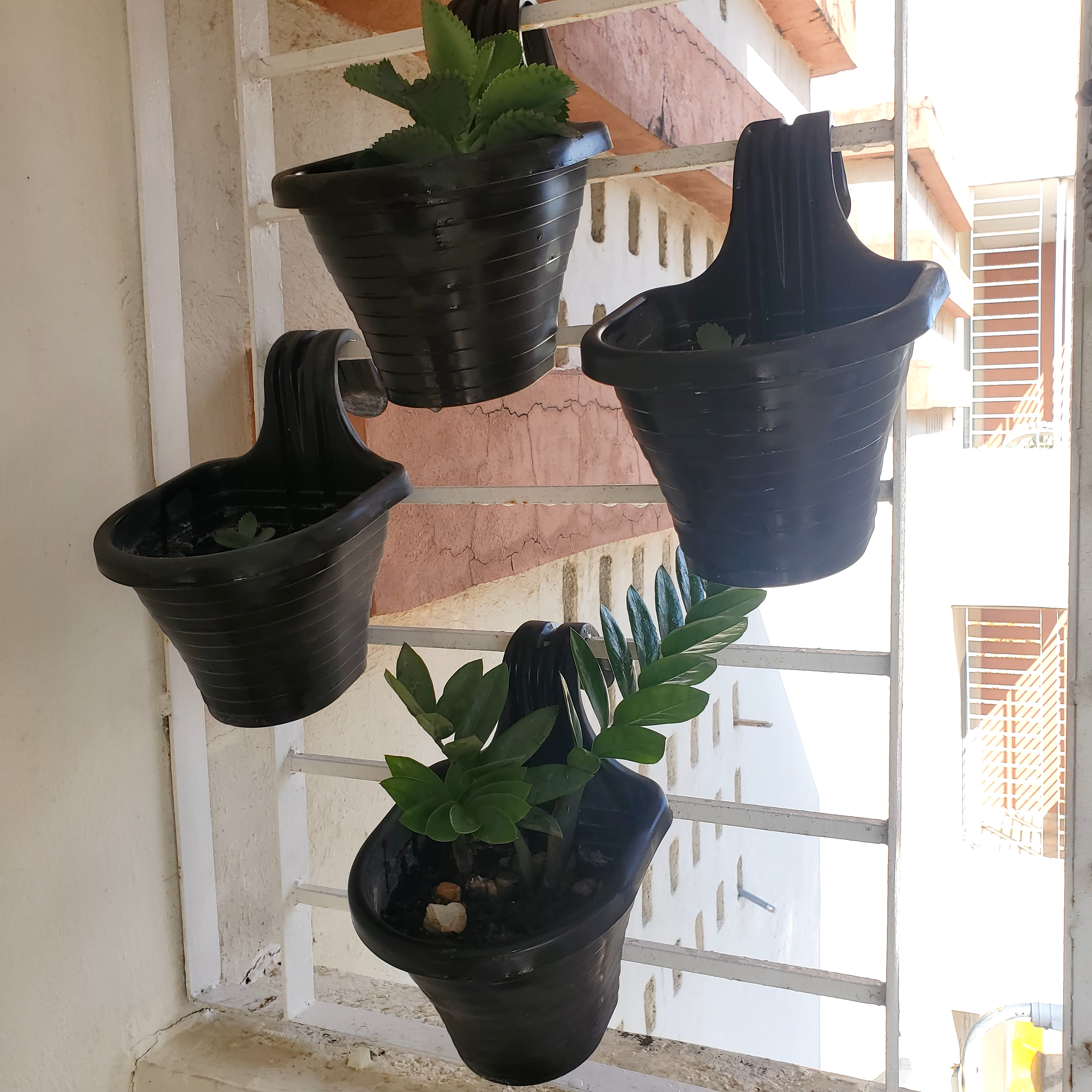herramientas, jardines y exterior - Macetas para colgar / enganchar (Incluye plantas) 5