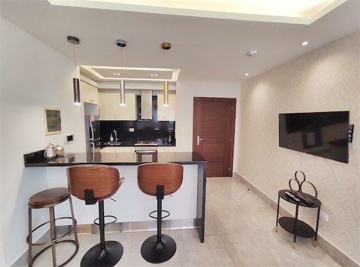 apartamentos - Amueblado de renta en La Esmeralda 1
