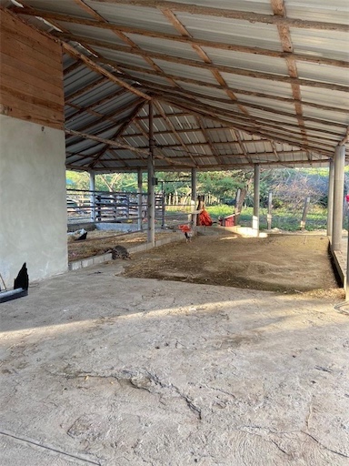 solares y terrenos - Finca de venta en Mamey 9