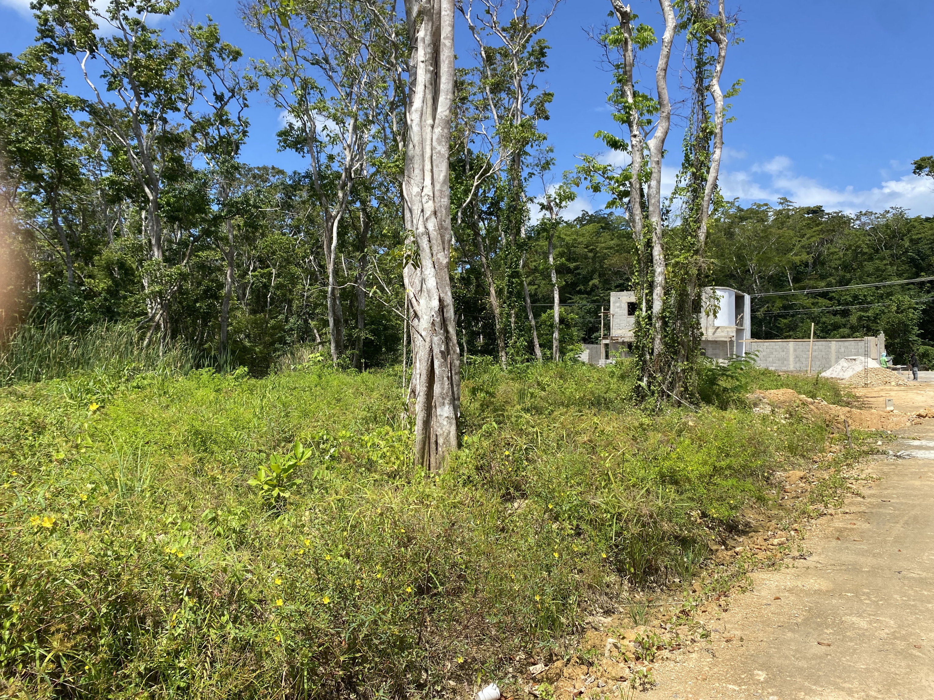 solares y terrenos - Las Terrenas – Terreno 384 m² en proyecto cerrado cerca de Playa Punta Popi 4