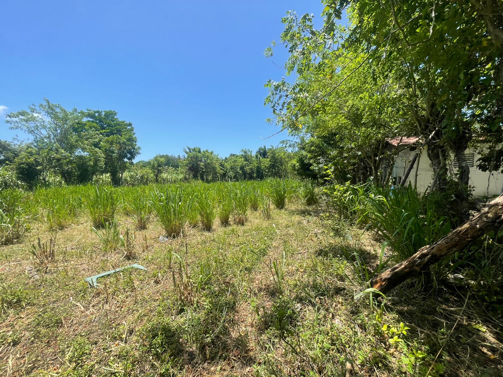 solares y terrenos - 🌳 Terreno en Venta – 1,458.38 m² en Los Boboses,  2