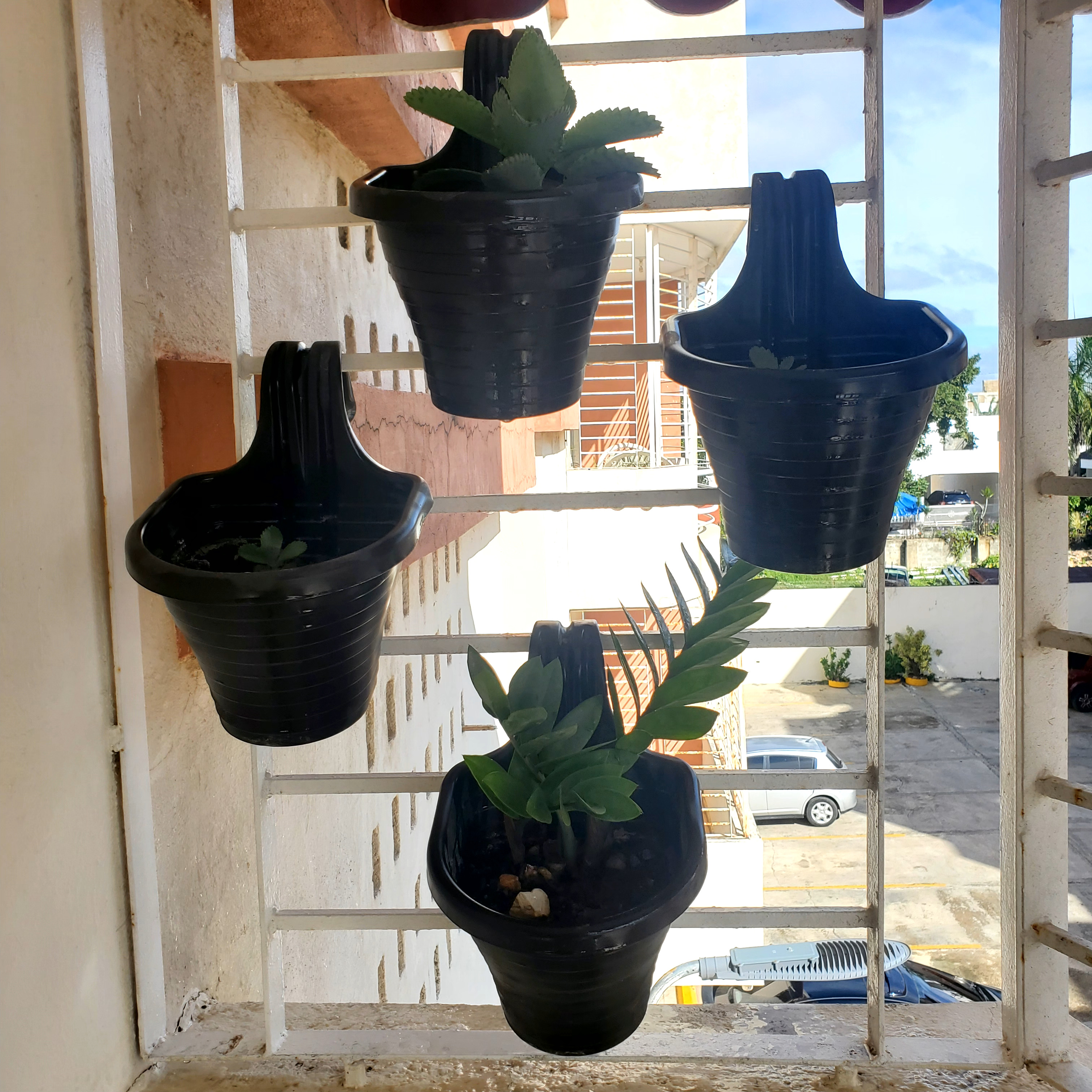 herramientas, jardines y exterior - Macetas para colgar / enganchar (Incluye plantas) 6