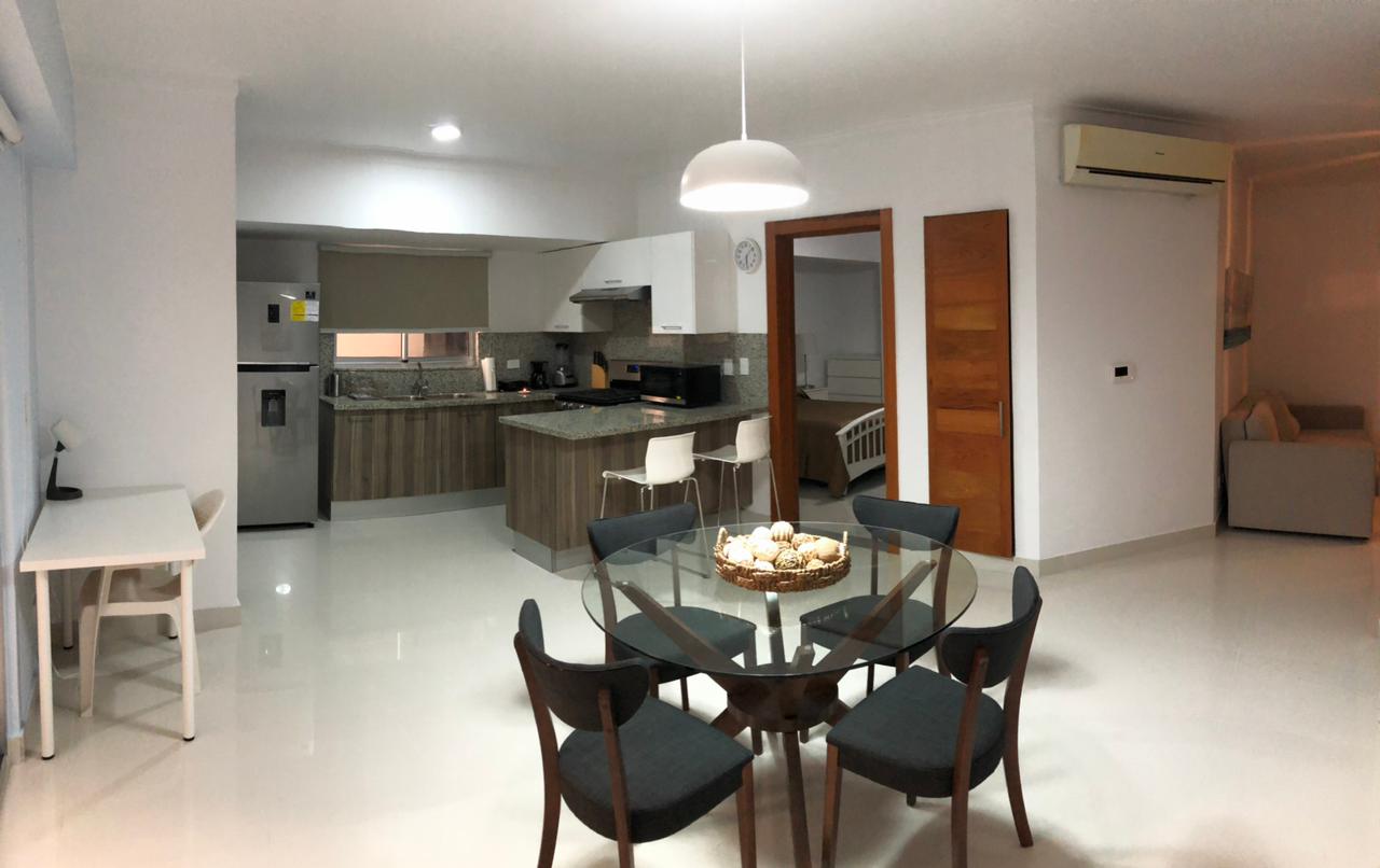 apartamentos - Bella Vista Amueblado con hermosa vista 2
